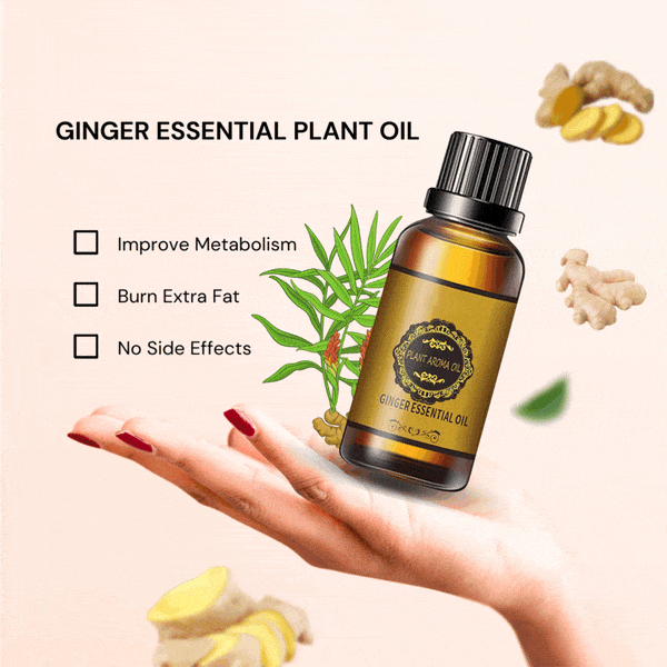 Best Essential Oils Belly Button Oiling Benefits - Belly Drainage Ginger Oil Belly Drainage Ginger Oil (Set of 2)