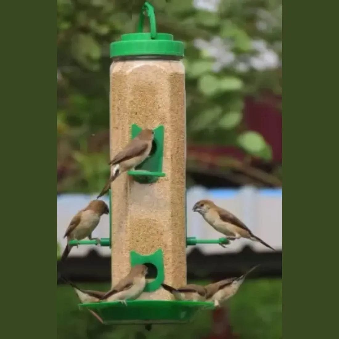 Bird Feeder | Houses For Birds Bird Food Water Feeder Pigeon Food Seed (Set of 2) Bird Feeder (Set of 2)