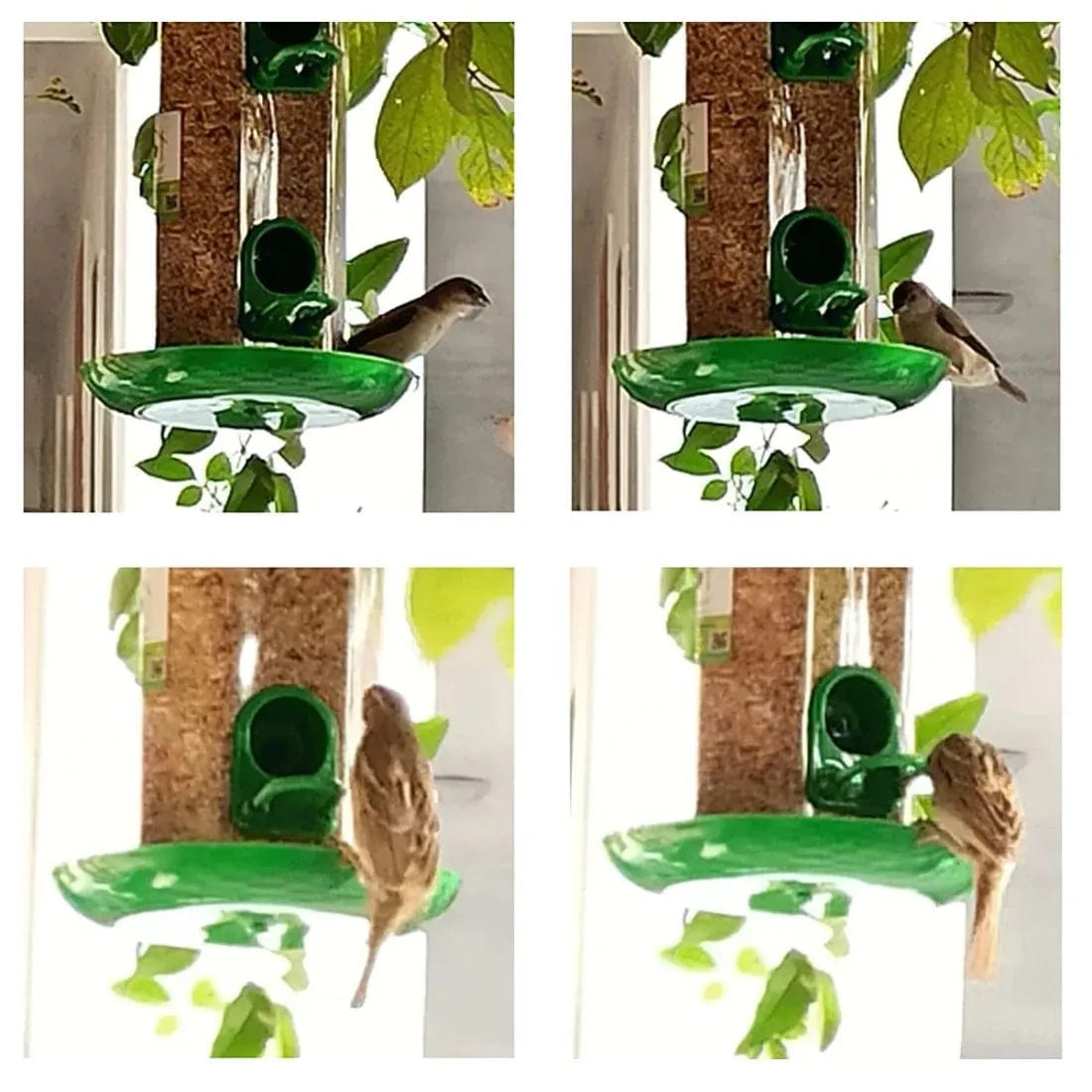 Bird Feeder | Houses For Birds Bird Food Water Feeder Pigeon Food Seed (Set of 2) Bird Feeder (Set of 2)