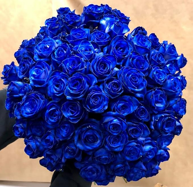 Blue Rose Seeds | Flower Seeds Rose Plant Lotus Seed Flowering Blue Rose Plant Blue Rose Seeds (Set of 20 seeds)