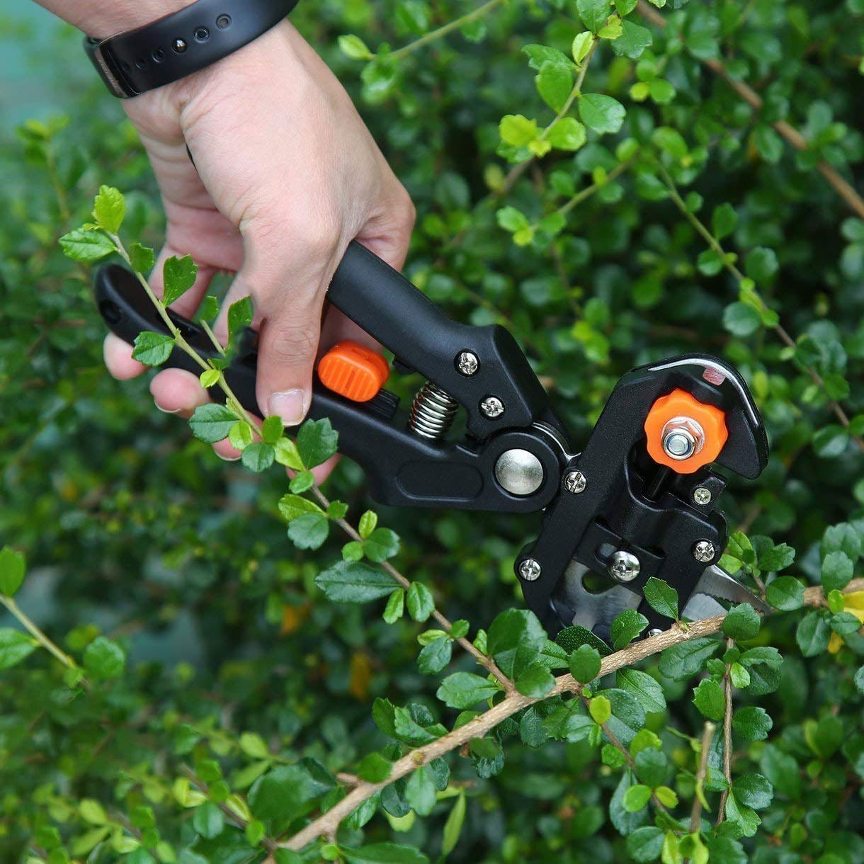 Clonixo™ | Garden Tool Set Tree Cutters Grafting Plants Fruit Pruning Scissors Clonixo™ Grafting Tool Kit Zaavio®