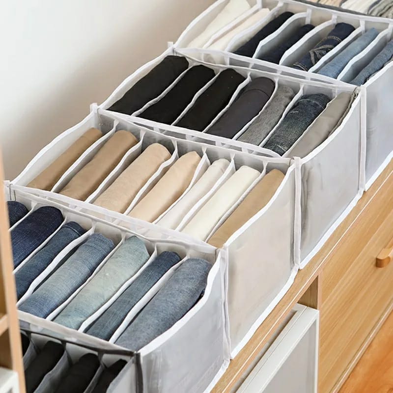 Cloth Cover Organizer Storage Bags Wardrobe Organizer - Clothes Organizer (Set of 2) Clothes Organizer (Set of 2)