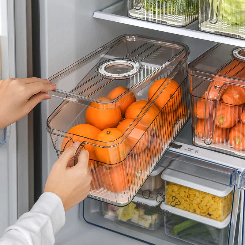 DuroBin™ (Pack of 6) | Plastic Container Basket For Kitchen Storage Containers Food Storage Pack of 6 DuroBin™ Unbreakable Basket (Pack of 6) Zaavio.co®