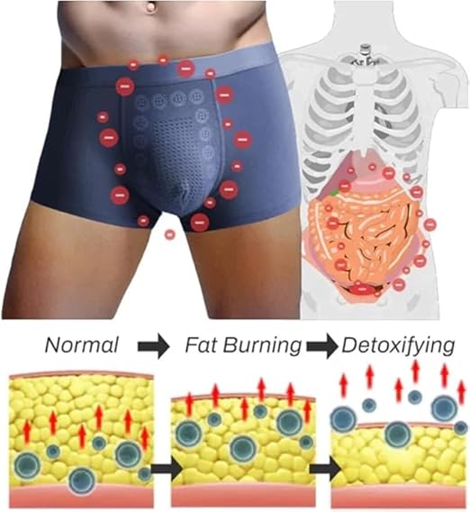 (FreshGuardzy (Set of 3) | Underwear For Men Trunks Under Wear Underclothes Boxers Silk FreshGuardzy Ice Silk Boxers (Set of 3)