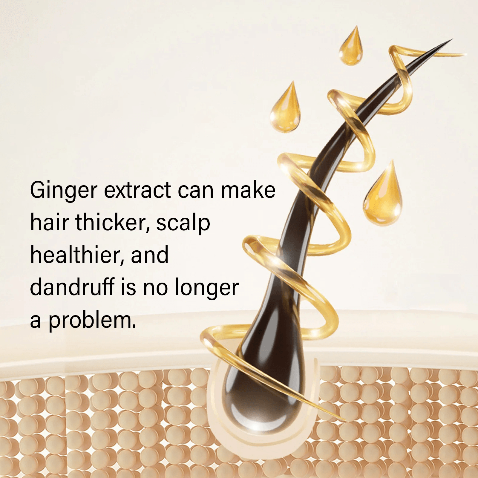 Ginger Anti-hair Loss Shampoo | Anti Hair Fall Shampoo Hair Growth Ginger Hairex Reduce Hair Loss Ginger Anti-Hair Loss Shampoo (Set of 3)