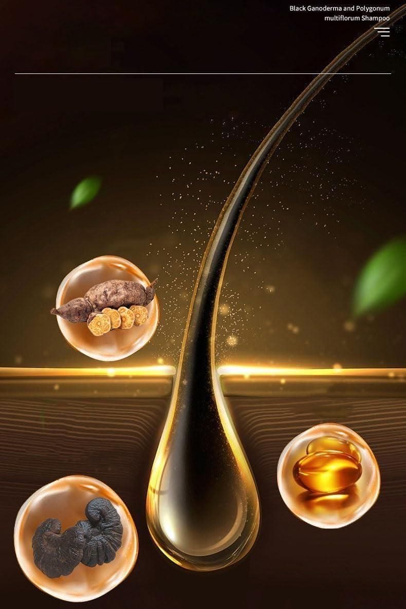 Gingerra™️ | Anti Hair Fall Shampoo Hair Growth Ginger Hairex Reduce Hair Loss Gingerra™️Ginger Anti-Hair Loss Shampoo (Pack of 3) Zaavio®