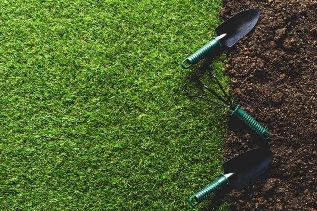Grassonix (Set of 2) | Germination Seeds Grass Seed Lawn Water Seedling Plantation Garden & Plants Grassonix All Seasons Grass Seeds (Set of 2)