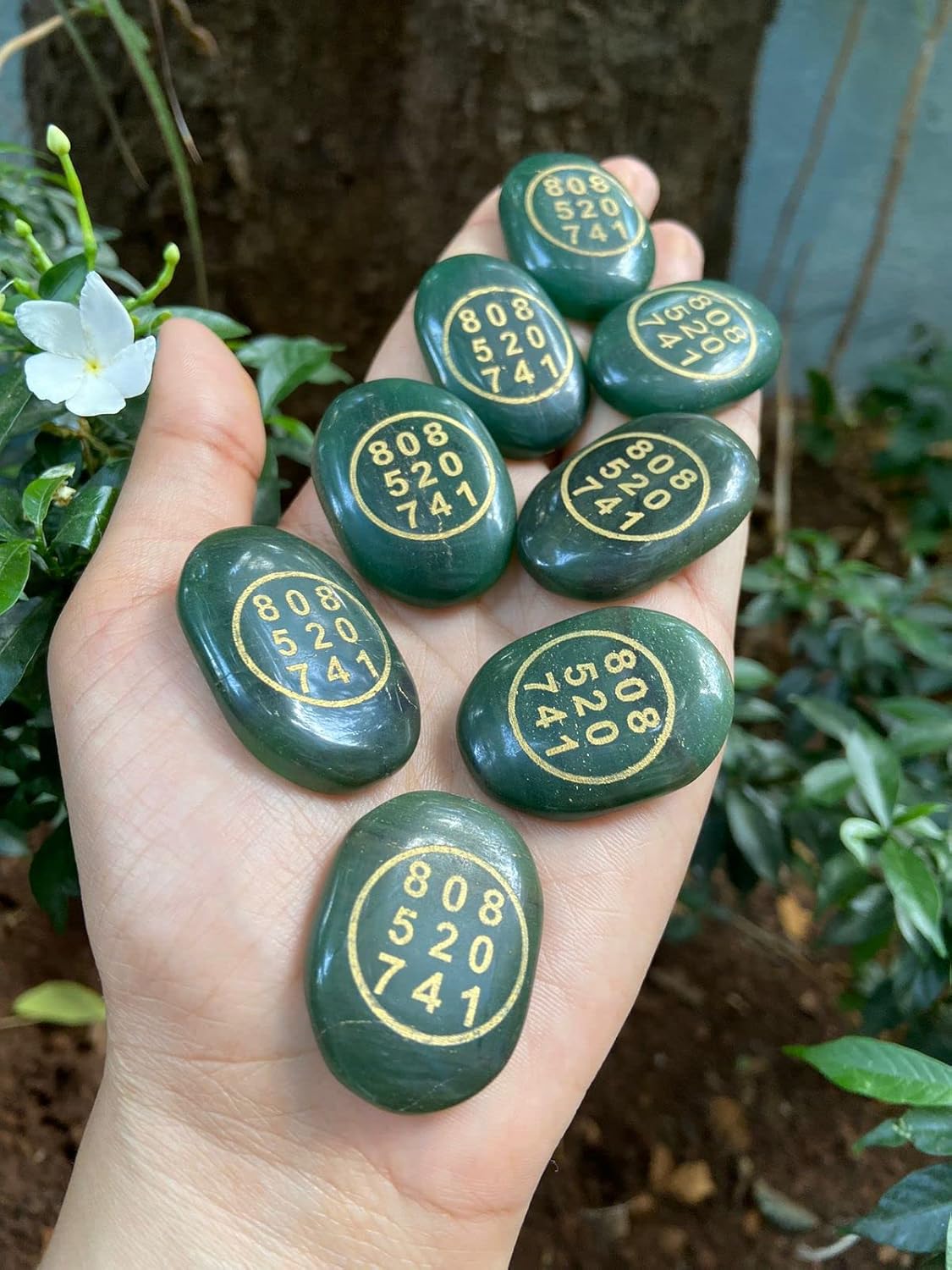 Green Aventurine Stone Healing Crystals Money Stone Zibu Symbol Green Aventurine Healing CrystalsJade Zibu Coin