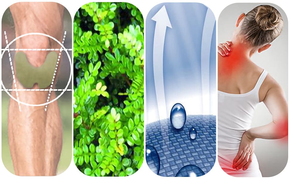 Knee Relief Patch Kit (Set of 12) | Knee Joint Pain Relief Patch Sticker Plaster Knee Relief Patch Kit (Set of 12)