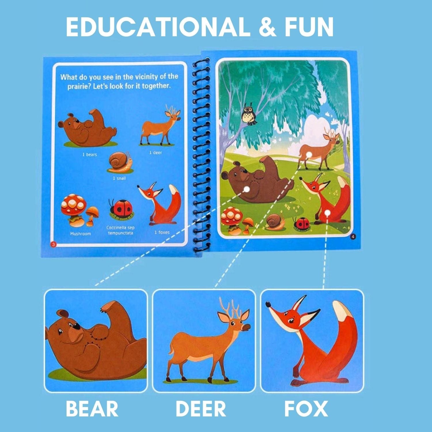 Magical Water Drawing Book (Set of 4) | Doodling Art Magic Water Book Coloring Draw Pages Book Magic Pack of 4 Reusable Magic Water Quick Dry Book (Set Of 4)