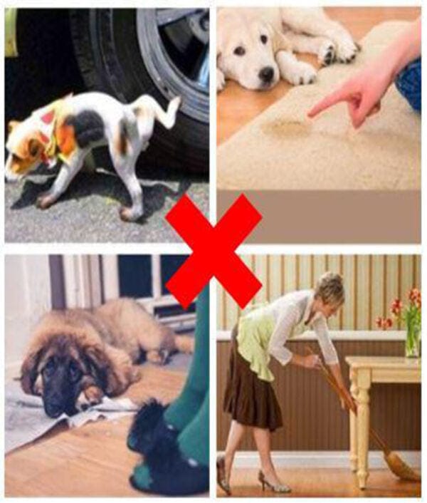 Pet Potty Training Spray (Set of 2) Pack of 2 Pet Potty Training Spray (Set of 2)