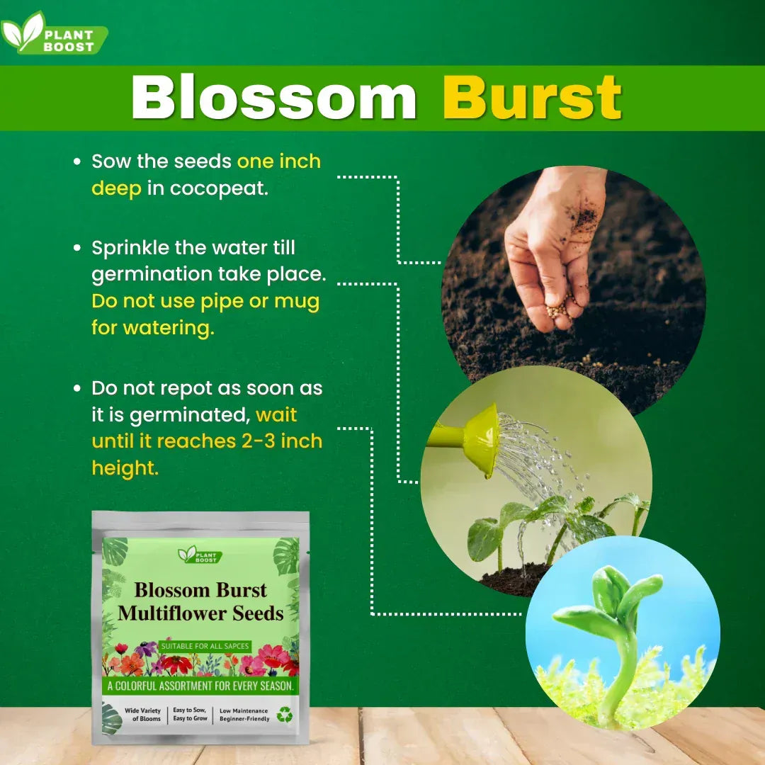 Plant Boost Combo (3 Plant Boost Packs with FREE 2 Flower Seed Packs) Plant Boost Combo (3 Plant Boost Packs with FREE 2 Flower Seed Packs)