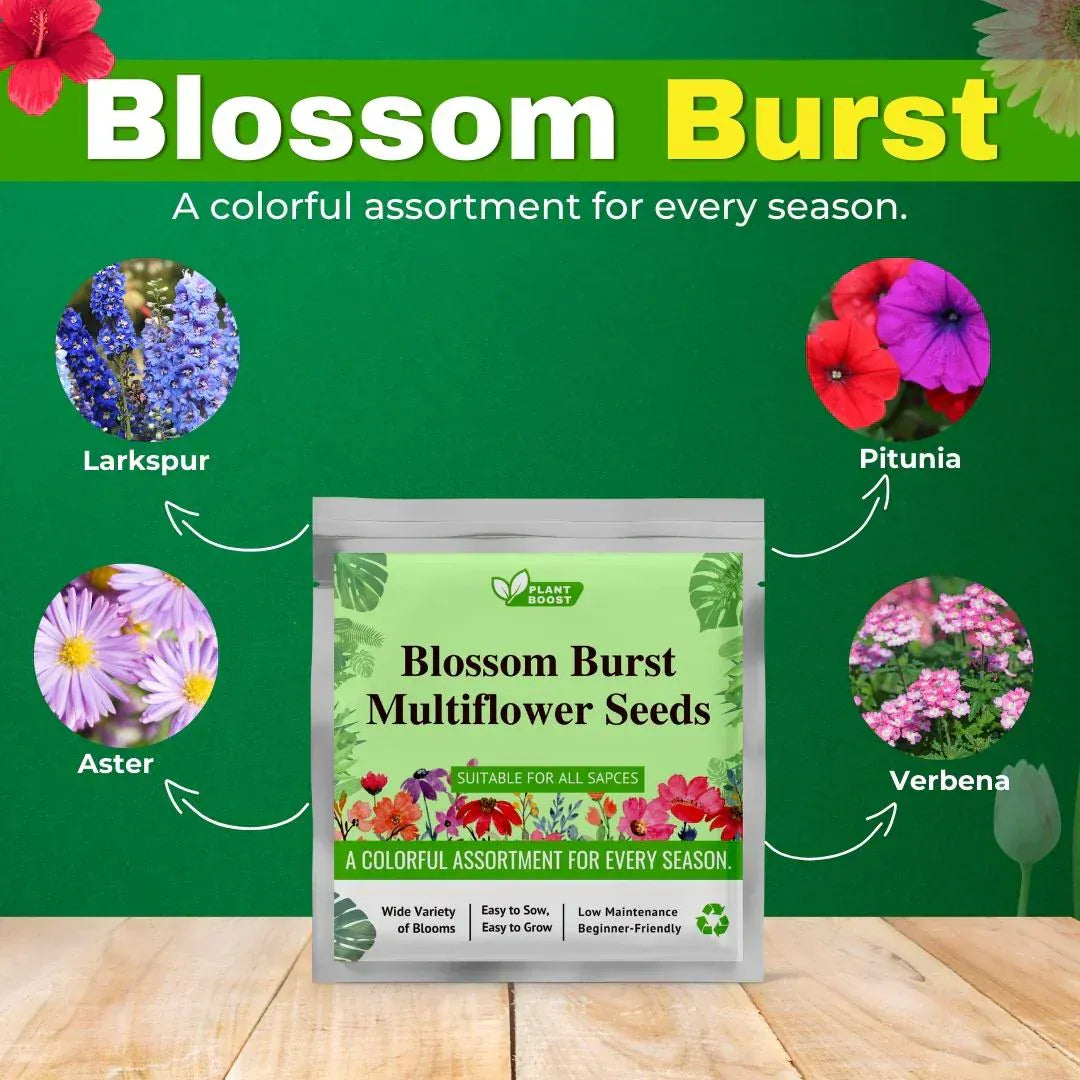 Plant Boost Combo (3 Plant Boost Packs with FREE 2 Flower Seed Packs) Plant Boost Combo (3 Plant Boost Packs with FREE 2 Flower Seed Packs)