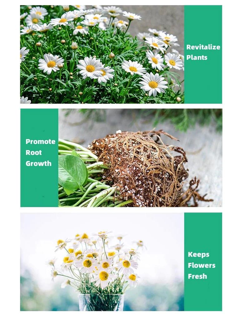 Plant Nutrients Hormone Fertilizers Growth Regulators In Plant - Plant Growth Enhancer (Set of 3) Plant Growth Enhancer (Set of 3)