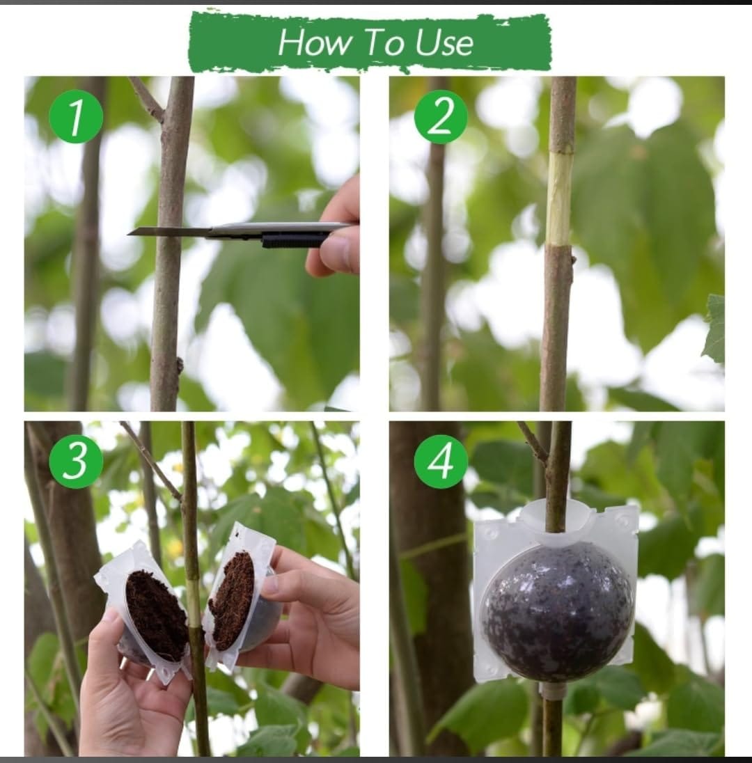 Plant Rooting Balls (Set of 5 with Free Pot mix) | Vegetable Seeds Flower Grow Bags Tools For Gardening Fertilizer Plant Plant Rooting Balls (Set of 5 with Free Pot mix)