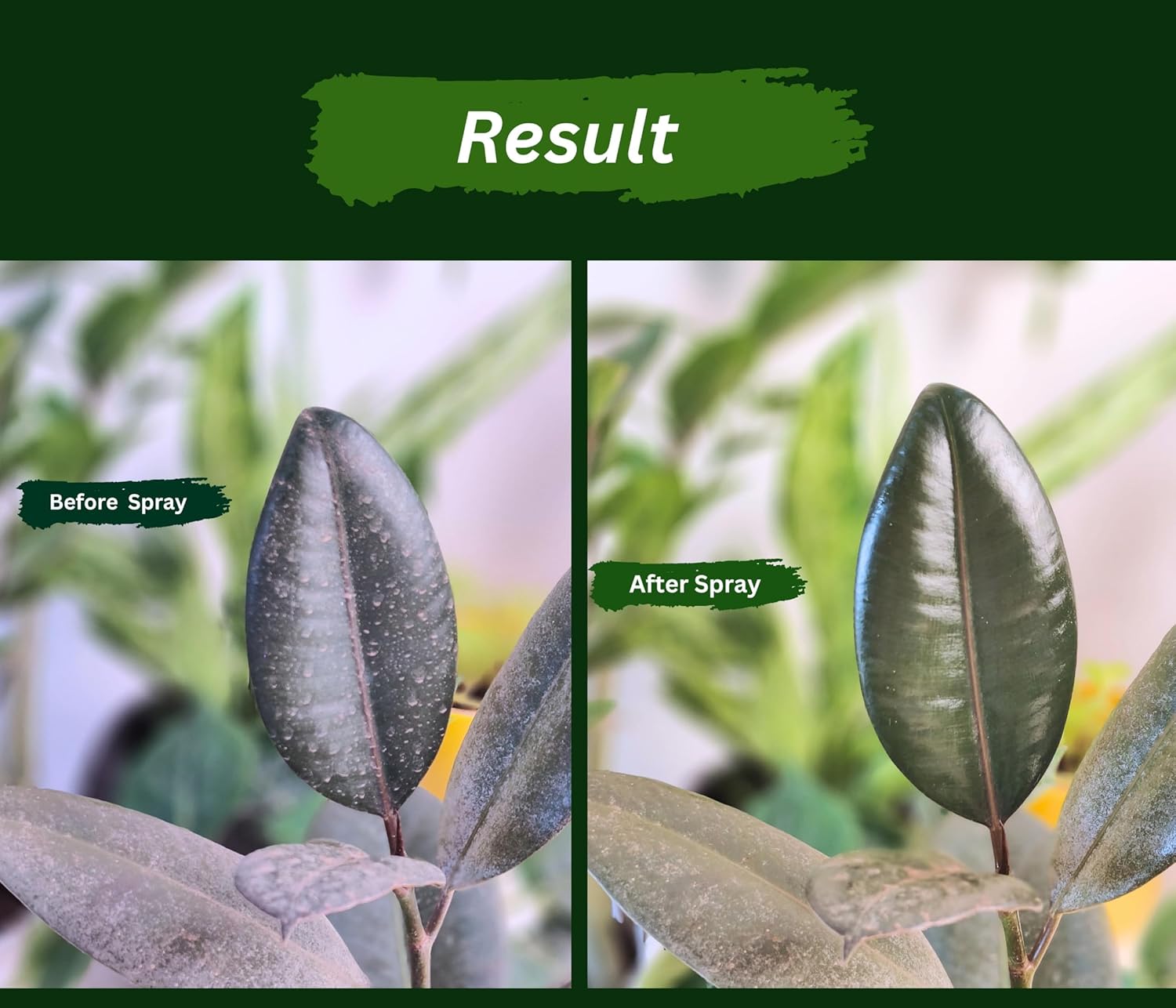 Pure Neem Plant Protection Spray (Buy 1 Get 1 Free) | Neem Oil Succulent Plants Herb Plant Trees Plant Protection spray Pure Neem Plant Protection Spray (Pack of 2) Zaavioยฎ
