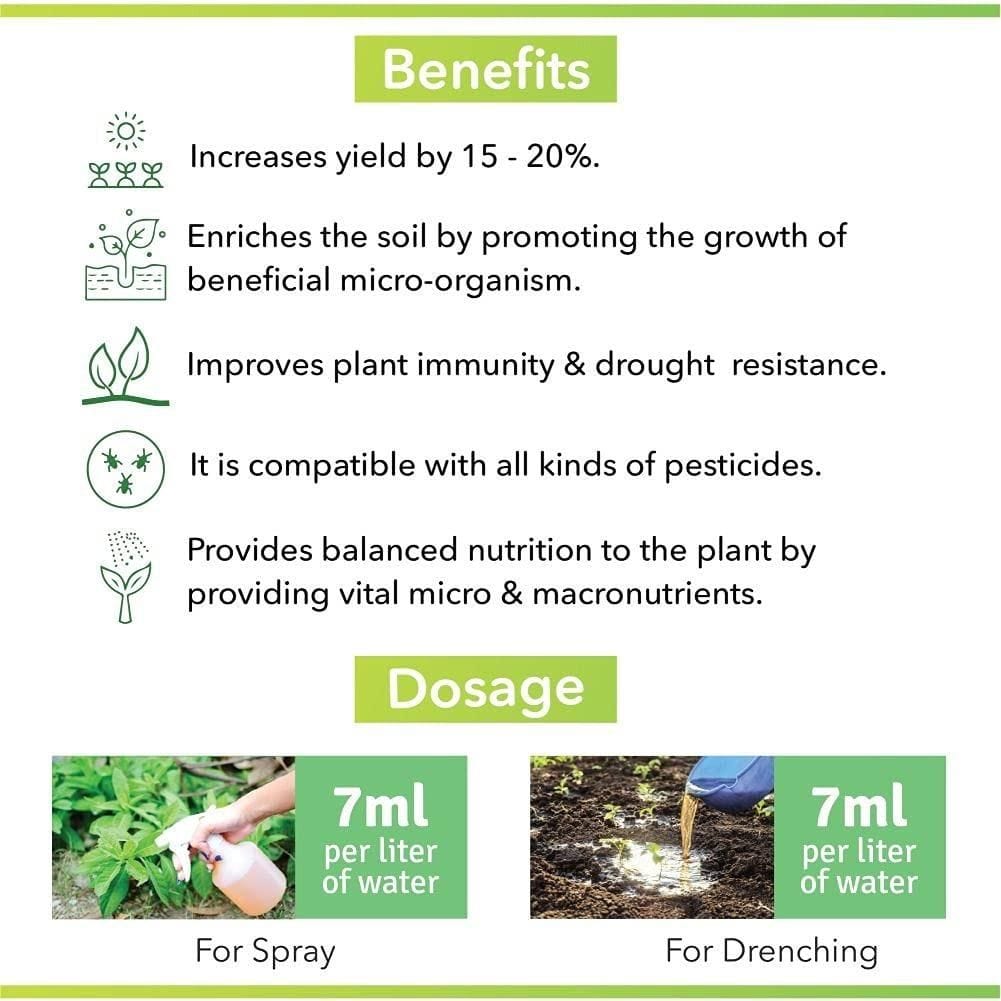Pure Neem Plant Protection Spray (Buy 1 Get 1 Free) | Neem Oil Succulent Plants Herb Plant Trees Plant Protection spray Pure Neem Plant Protection Spray (Pack of 2) Zaavioยฎ
