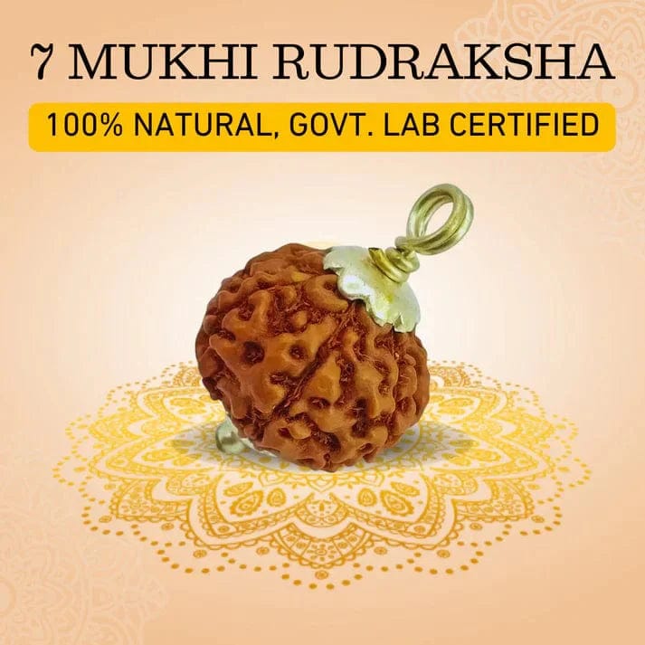 Rudraksha Pendant | 7 Mukhi Rudraksha Seven Faced Rudraksha Beads Pendant Benefits 7 Mukhi Rudraksha Silver Capped Pendant
