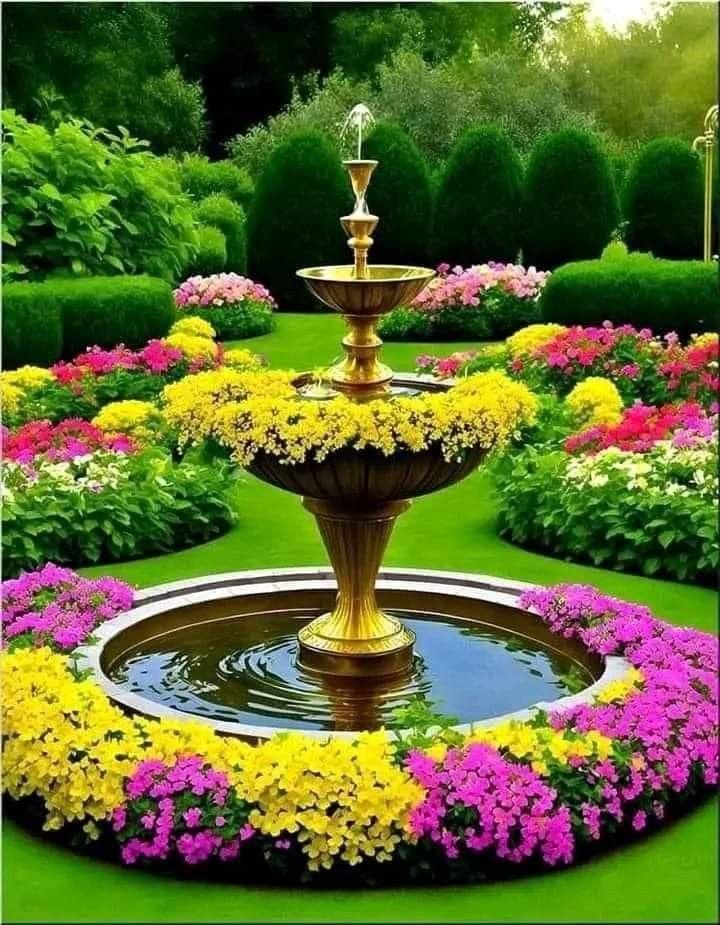 Sun Flower Seeds Daisy Flower Flowering Plants Germination Of Seed - BlossomBloom™️ (Pack of 100 Seeds) Multiple Variety Of Flower Seeds (Pack of 100 Seeds) Zaavio.co®