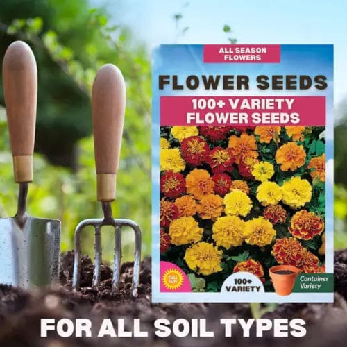 Sun Flower Seeds Daisy Flower Flowering Plants Germination Of Seed - BlossomBloom™️ (Pack of 100 Seeds) Multiple Variety Of Flower Seeds (Pack of 100 Seeds) Zaavio.co®