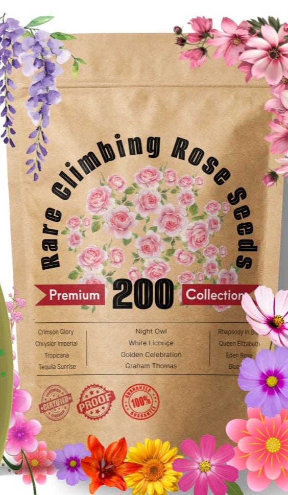 Twisora™ | Flower Seeds Rose Plant Garden Climbing Rose Plant Seed Twisora™ Elegant Climbing Rose Flower Seeds Zaavio®