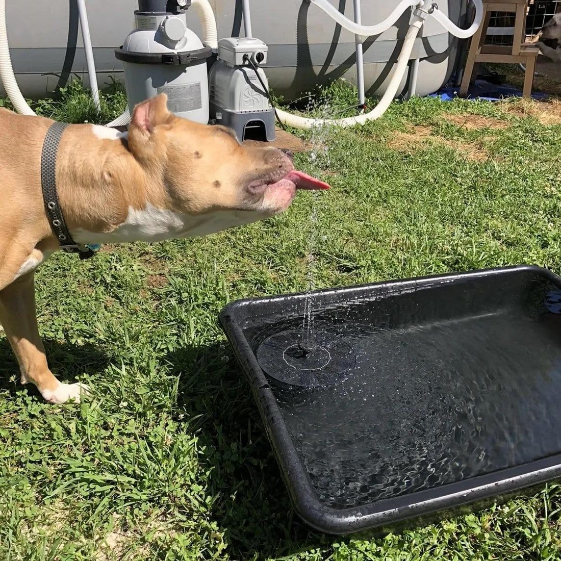 Water Solar Pump Panel Products Solar Fountain Water Pump Kit - SolarSpray™️ SolarSpray™️ Water Fountain Kit Zaavio®