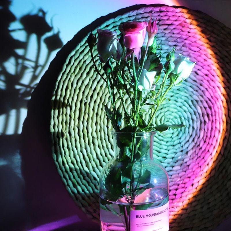 Sunset Lamp Sunset Lamp
