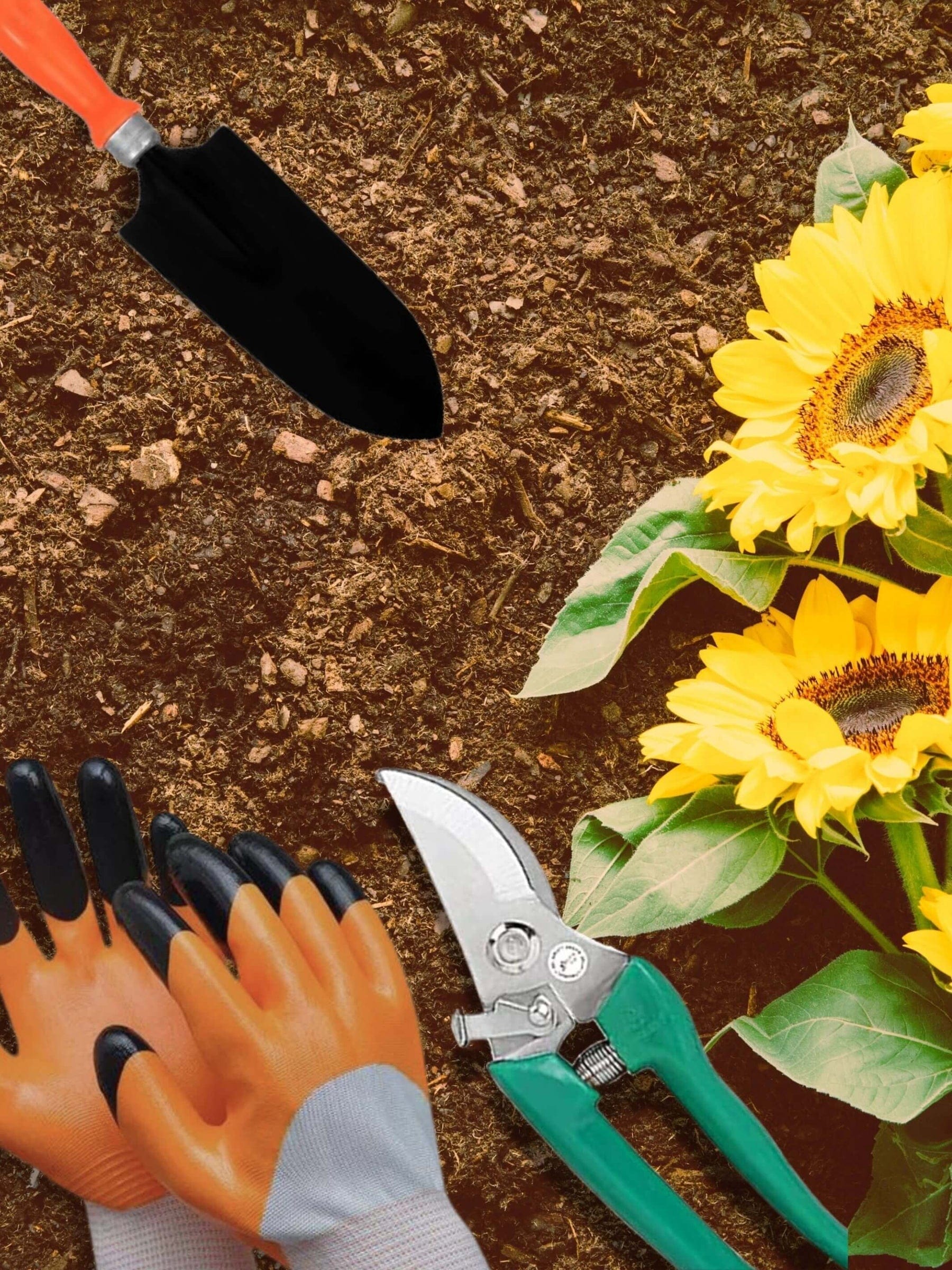 6 in 1 Garden Tools | Indoor Plants Garening Tools Planting Kit Soil Potting Equipment 6 in 1 Garden Tools