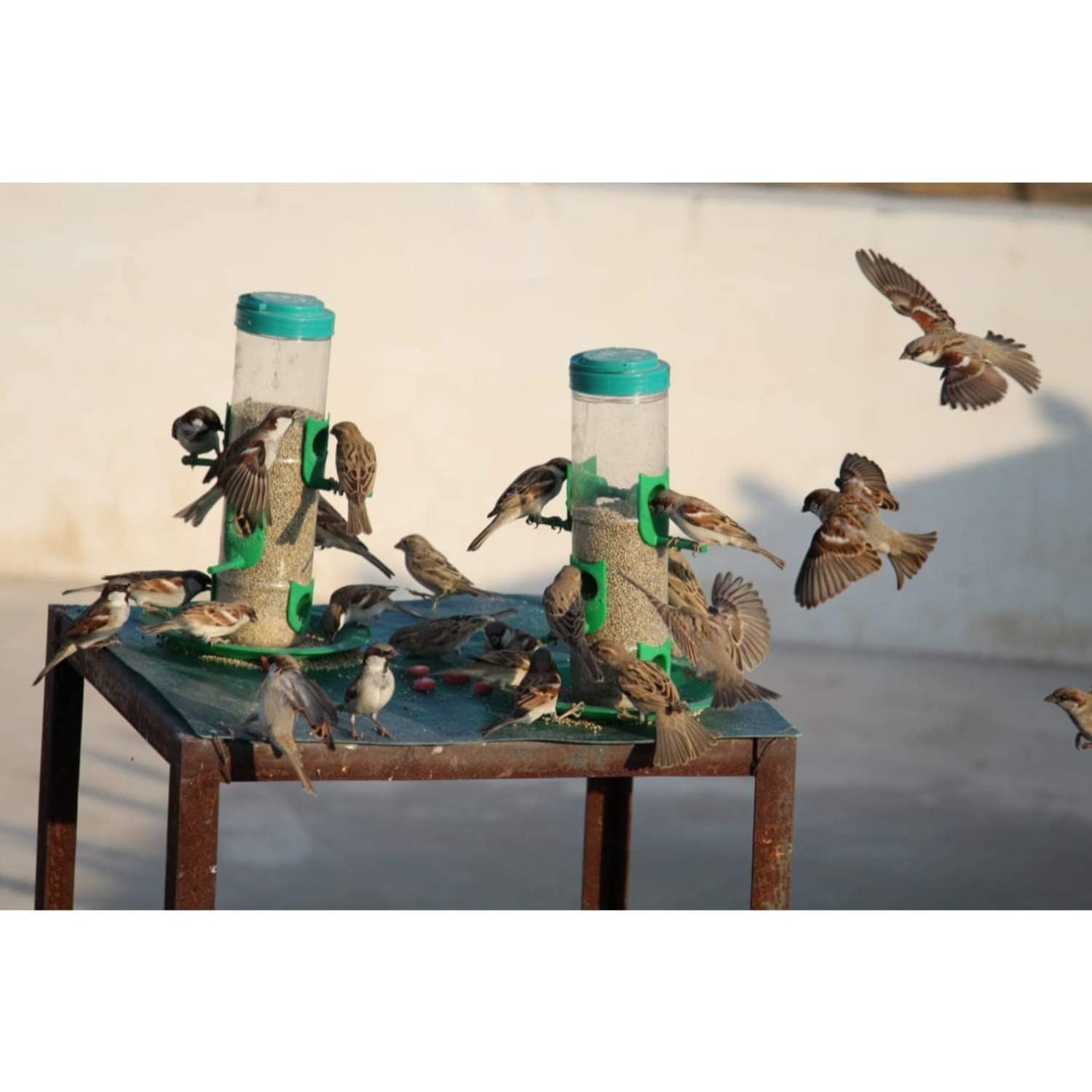 Bird Feeder | Houses For Birds Bird Food Water Feeder Pigeon Food Seed (Set of 2) Bird Feeder (Set of 2)