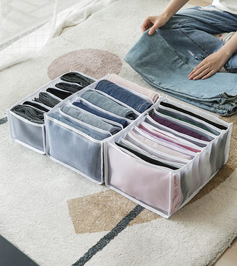Cloth Cover Organizer Storage Bags Wardrobe Organizer - Clothes Organizer (Set of 2) Pack Of 4 Clothes Organizer (Set of 2)