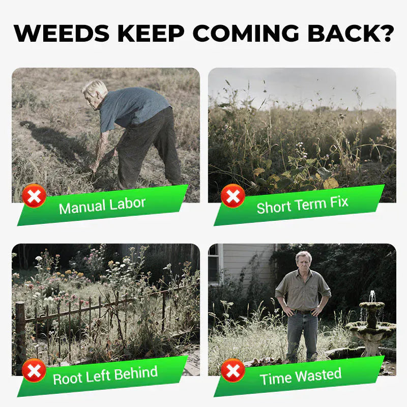 Cyclosinone Herbicide Granules (Set of 2) Cyclosinone Herbicide Granules (Set of 2)