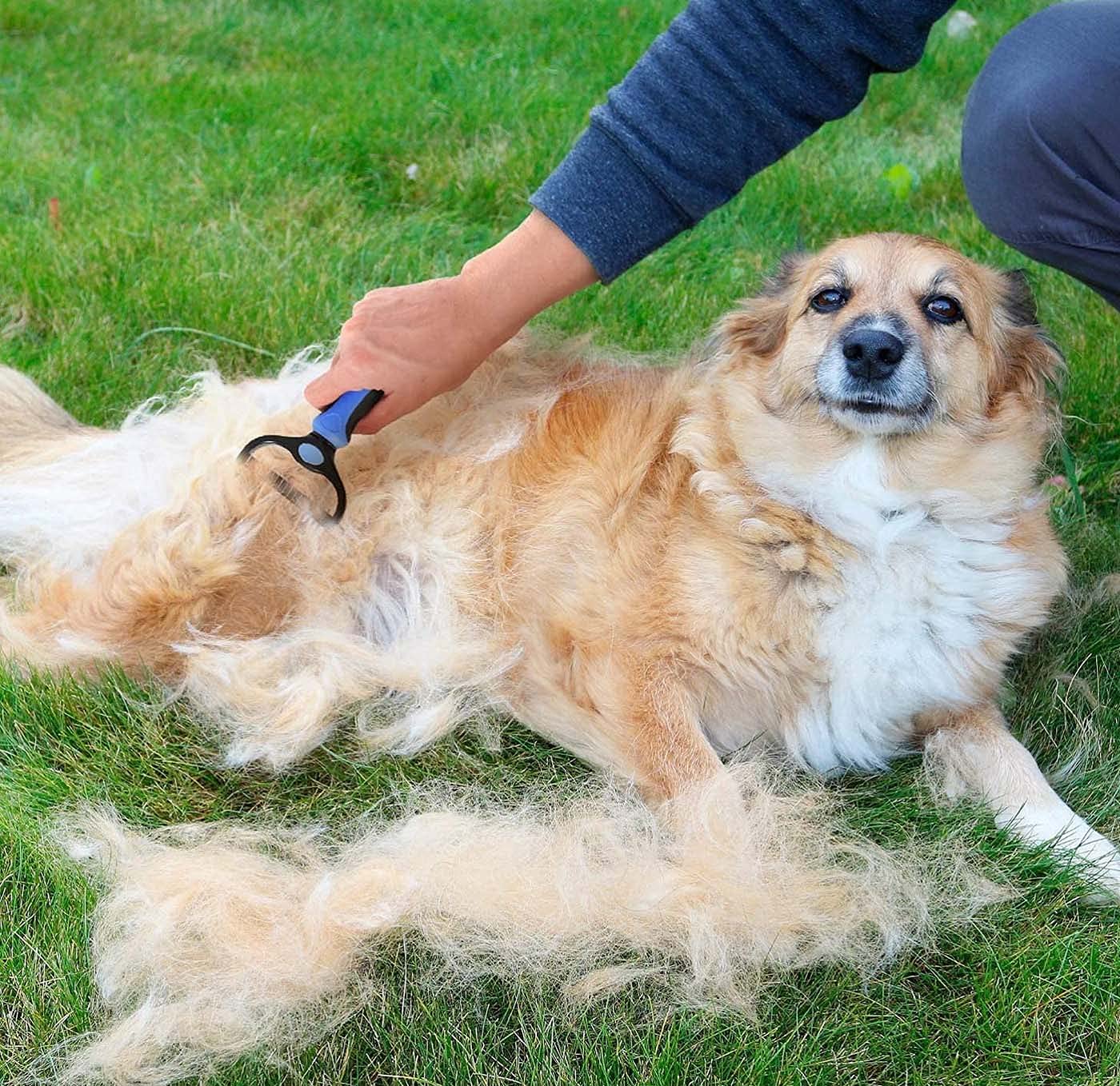 Doromixo | Pet Store Dog Cat Grooming Comb Brushes Hair Brush Pet Supplies Doromixo 2-in-1 Pet Grooming Tool