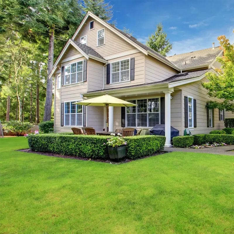 Evergreen Dwarf Grass Seed | Seedling Germination Grass Seeds For Lawn Garden Seed  Evergreen Dwarf Grass Seed