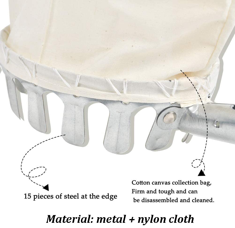 Fruit Picker - Image 4