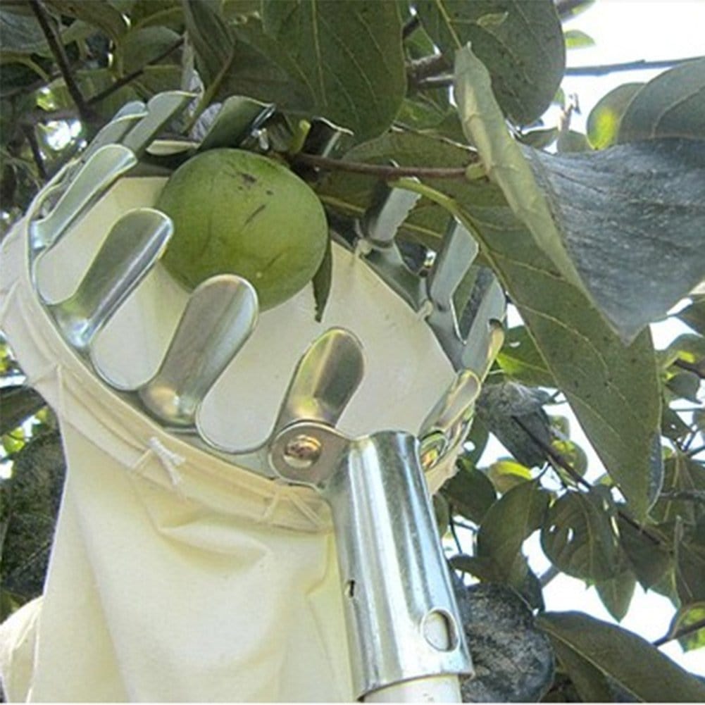 Fruit Picker | Cherries Picking Apple Picker Tool Harvest Fruit Fruit Picker