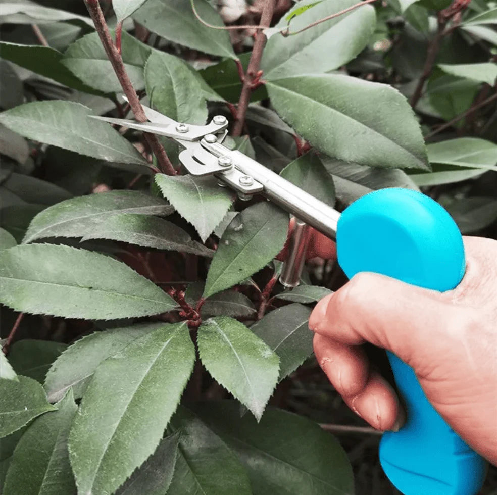 Pruning Shears - Image 3