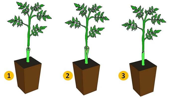 Grafting Tool Kit | Garden Tool Set Tree Cutters Grafting Plants Fruit Pruning Scissors  Grafting Tool Kit