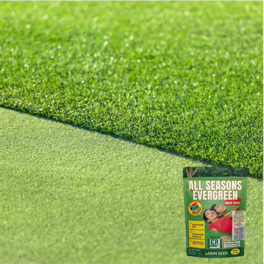 Grassonix (Set of 2) | Germination Seeds Grass Seed Lawn Water Seedling Plantation Garden & Plants Grassonix All Seasons Grass Seeds (Set of 2)