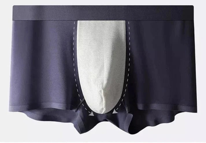 Men's Ice Silk Briefs Boxers (Pack of 3) Men's Ice Silk Briefs Boxers (Pack of 3) Zaavio.co®