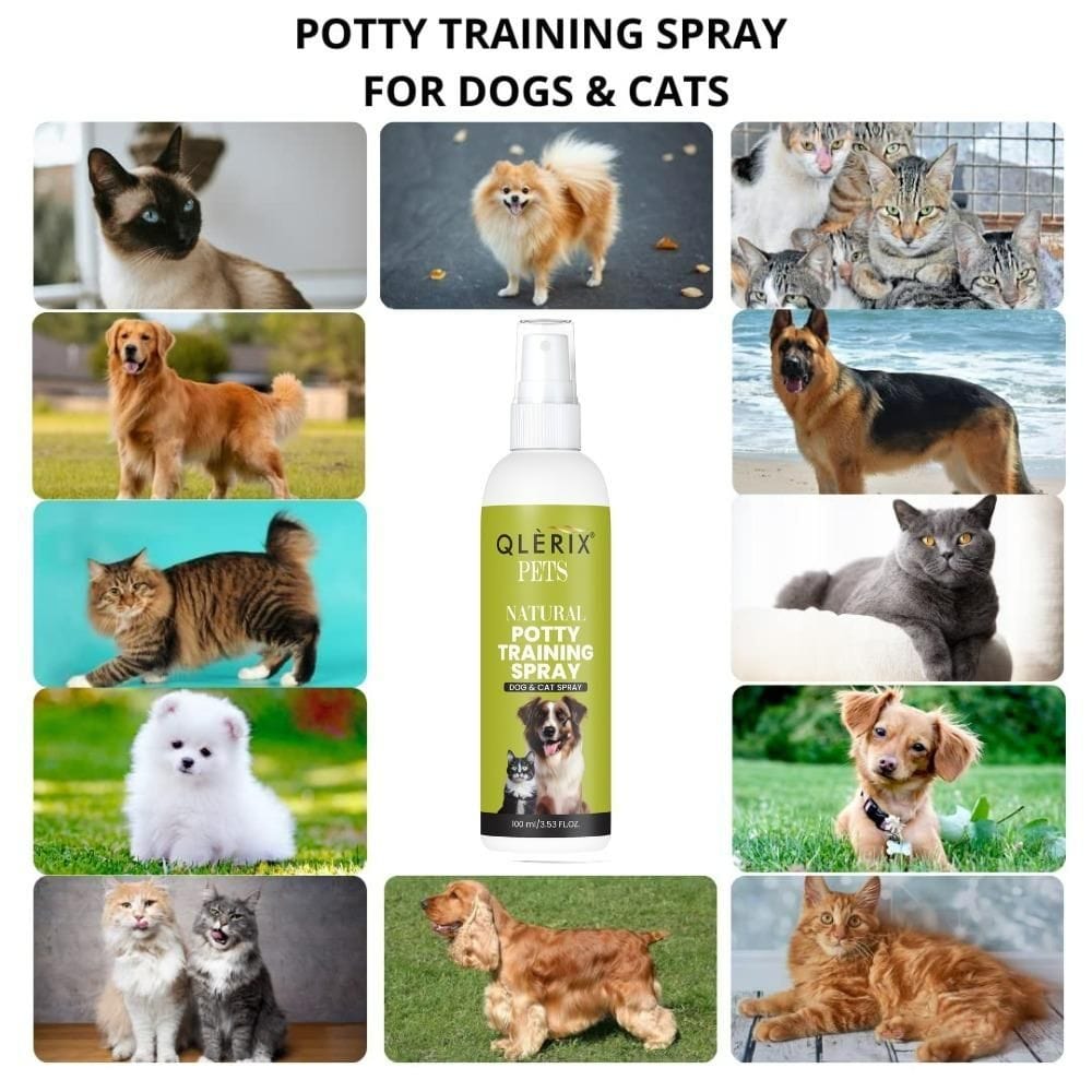 Pet Potty Training Spray (Set of 2) Pack of 2 Pet Potty Training Spray (Set of 2)