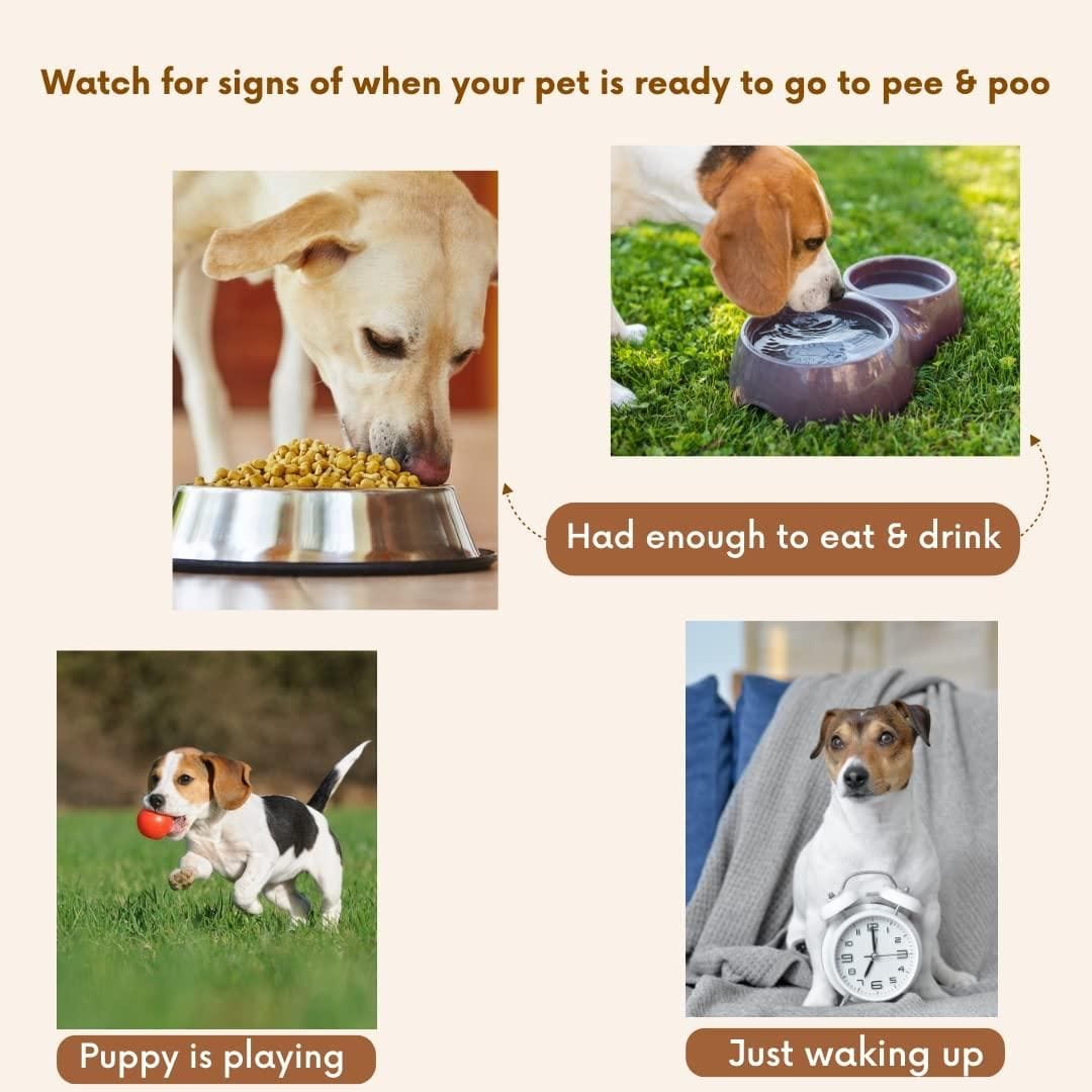 Pet Potty Training Spray (Set of 2) Pack of 2 Pet Potty Training Spray (Set of 2)