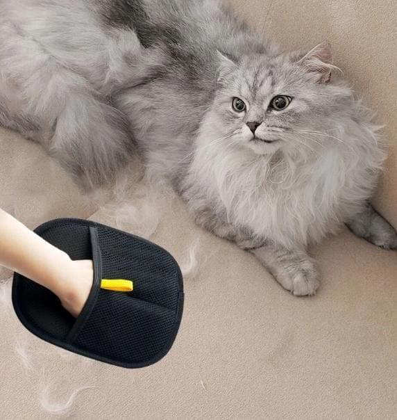 PetCleanzi™ | Pet Hair Remover Dog And Cat Removal From Clothes Cleaner PetCleanzi™ Pet Hair Removal Gloves Zaavio.co®