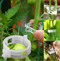 Plant Support Clips (Pack of 50) - Image 1