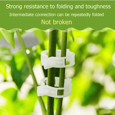 Plant Support Clips (Pack of 50) - Image 2