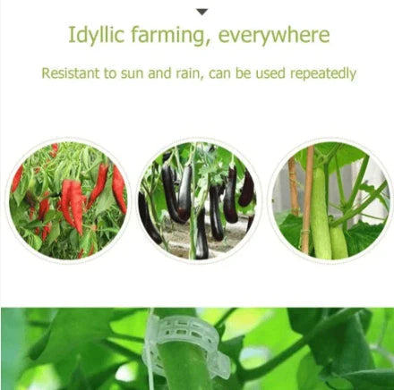 Plant Support Clips (Pack of 50) - Image 3