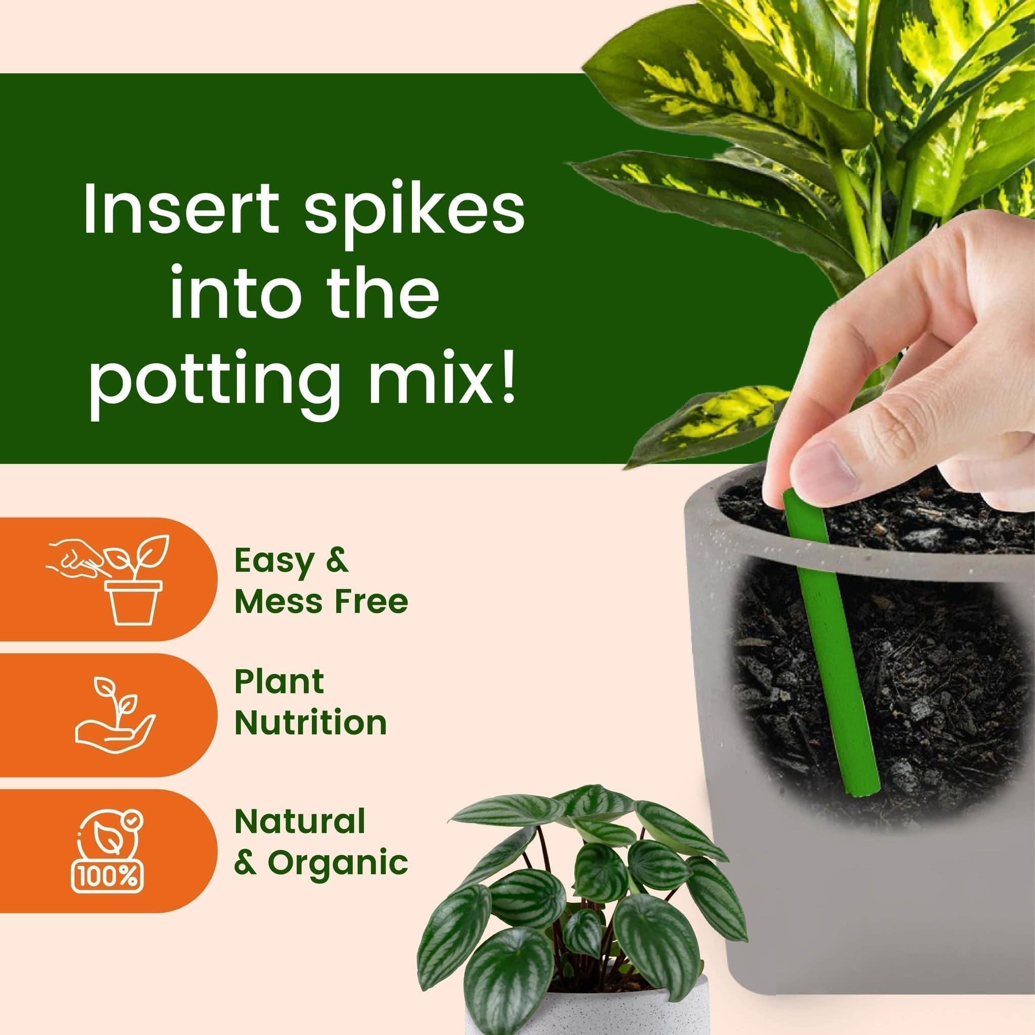 Plant Fertilizer Sticks - (Set of 2 - 25 Sticks) | Grow Plants Natural And Organic Fertilizer For Plants Plant Fertilizer Sticks - (Set of 2 - 25 Sticks)