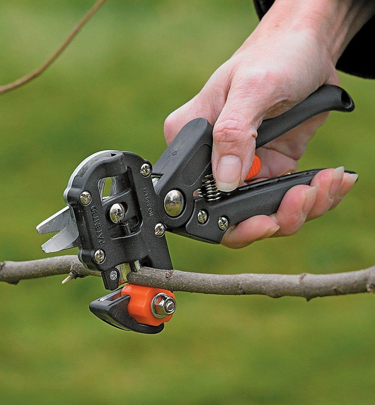 Plant Grafting Tool Kit - Image 6