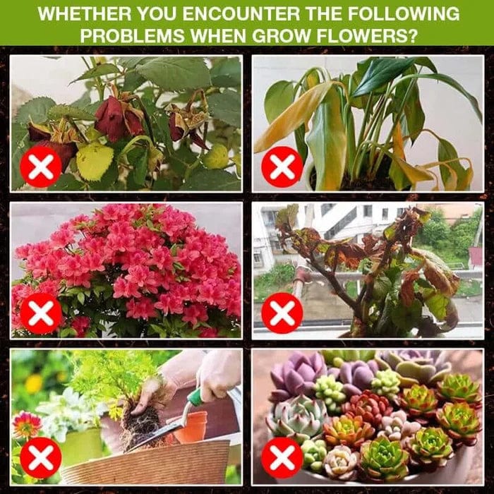 Plant Growth Liquid Fertiliser (Set of 4) | Plant Nutrients Hormone Fertilizers Growth Regulators In Plant  Plant Growth Liquid Fertiliser (Set of 4)