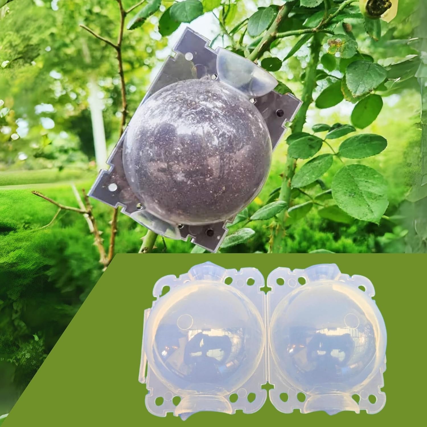 Plant Rooting Balls (Set of 5 with Free Pot mix) | Vegetable Seeds Flower Grow Bags Tools For Gardening Fertilizer Plant Plant Rooting Balls (Set of 5 with Free Pot mix)