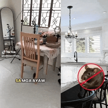 Rat Repellent Spray For Car and Home (Set of 3) Rat Repellent Spray For Car and Home (Set of 3)